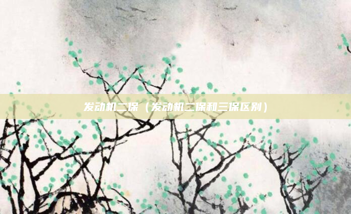 发动机二保（发动机二保和三保区别）
