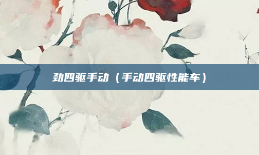 劲四驱手动(手动四驱性能车)