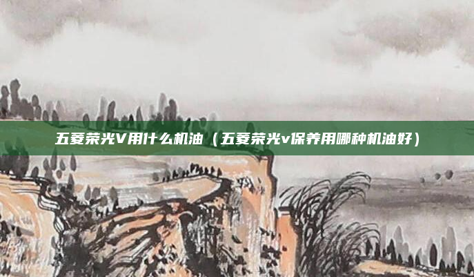 五菱荣光V用什么机油（五菱荣光v保养用哪种机油好）