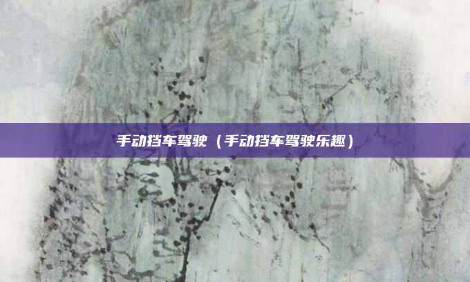 手动挡车驾驶（手动挡车驾驶乐趣）