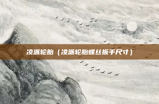 凌派轮胎(凌派轮胎螺丝扳手尺寸)
