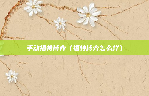 手动福特博弈(福特博弈怎么样)