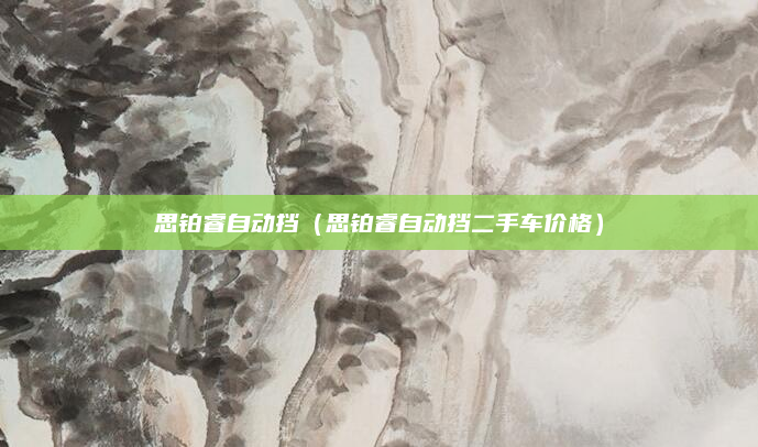 思铂睿自动挡(思铂睿自动挡二手车价格)