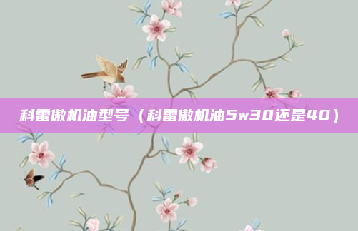 科雷傲机油型号（科雷傲机油5w30还是40）