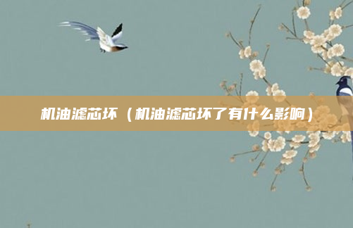 机油滤芯坏（机油滤芯坏了有什么影响）