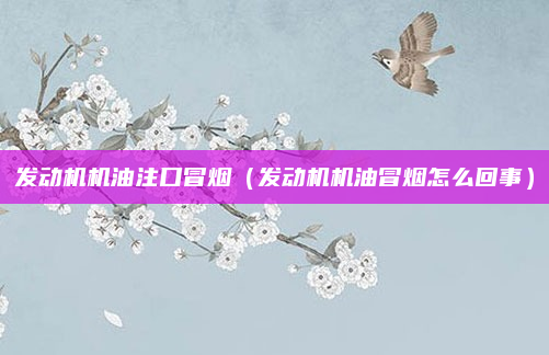 发动机机油注口冒烟（发动机机油冒烟怎么回事）