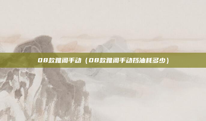 08款雅阁手动（08款雅阁手动挡油耗多少）