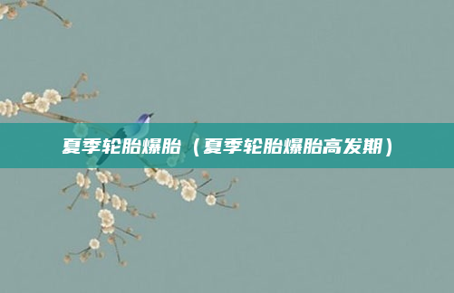 夏季轮胎爆胎(夏季轮胎爆胎高发期)