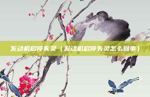 发动机启停失灵（发动机启停失灵怎么回事）