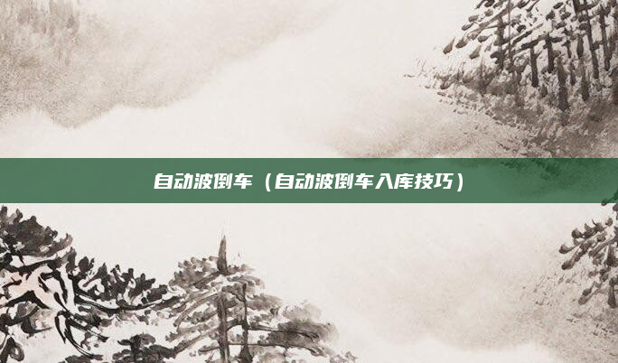 自动波倒车（自动波倒车入库技巧）
