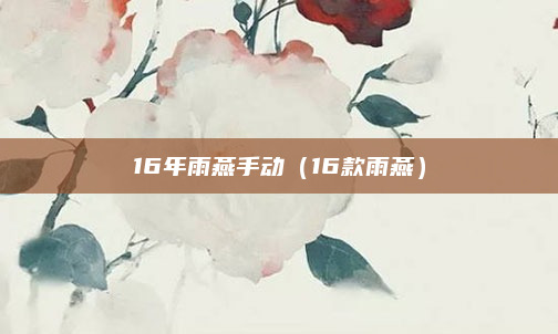 16年雨燕手动（16款雨燕）