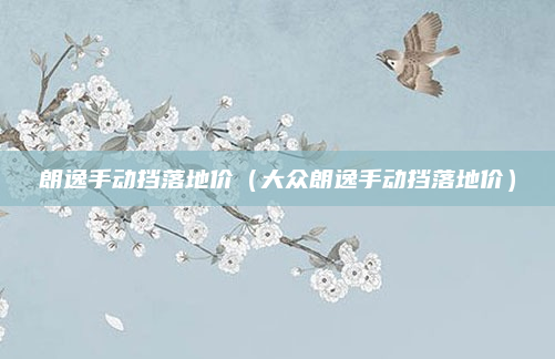 朗逸手动挡落地价（大众朗逸手动挡落地价）