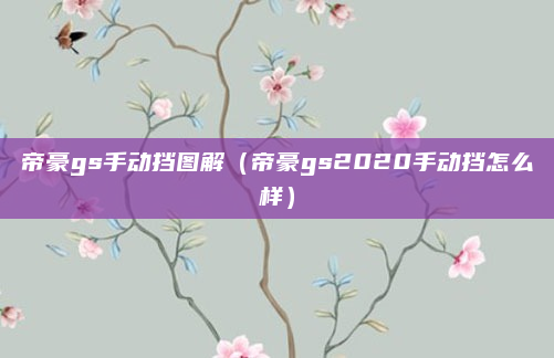 帝豪gs手动挡图解(帝豪gs2020手动挡怎么样)