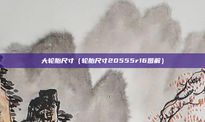 大轮胎尺寸(轮胎尺寸20555r16图解)