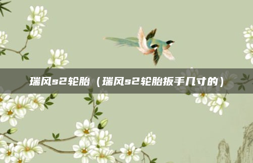 瑞风s2轮胎(瑞风s2轮胎扳手几寸的)
