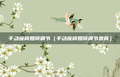 手动座椅如何调节（手动座椅如何调节靠背）