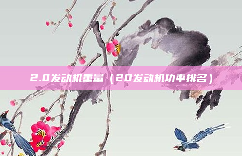 2.0发动机重量（20发动机功率排名）