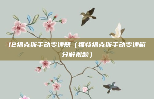 12福克斯手动变速器（福特福克斯手动变速箱分解视频）
