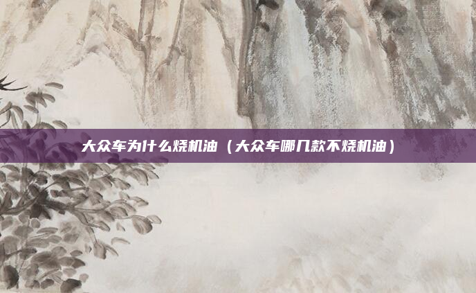 大众车为什么烧机油(大众车哪几款不烧机油)