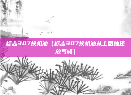 标志307换机油（标志307换机油从上面抽还放气吗）