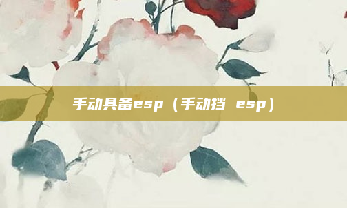 手动具备esp（手动挡 esp）