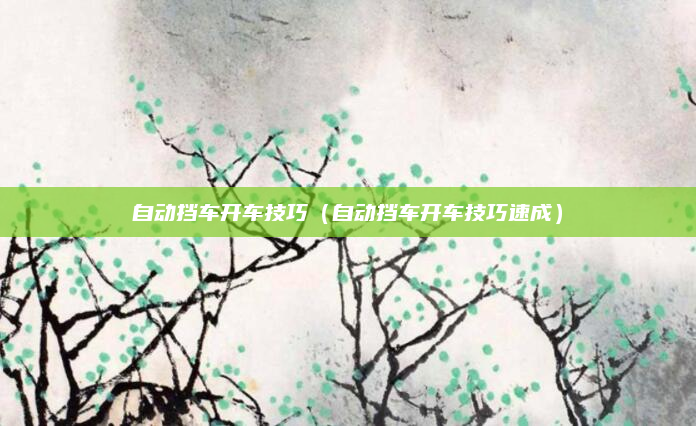 自动挡车开车技巧（自动挡车开车技巧速成）