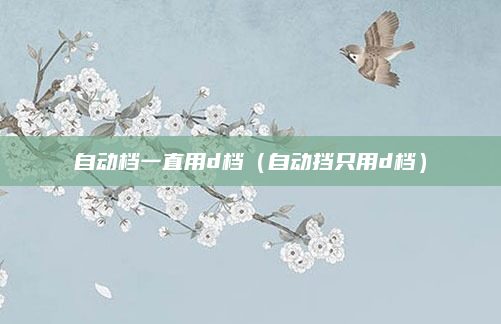 自动档一直用d档（自动挡只用d档）