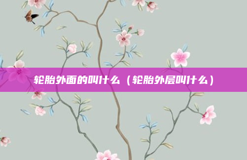 轮胎外面的叫什么（轮胎外层叫什么）