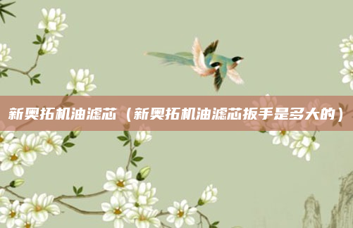 新奥拓机油滤芯（新奥拓机油滤芯扳手是多大的）