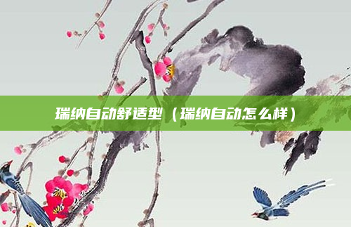 瑞纳自动舒适型（瑞纳自动怎么样）