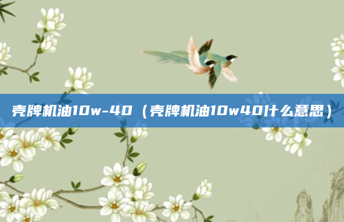 壳牌机油10w-40（壳牌机油10w40什么意思）