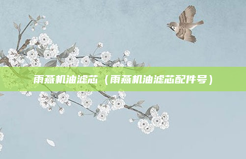 雨燕机油滤芯（雨燕机油滤芯配件号）