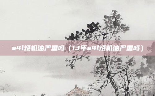 a4l烧机油严重吗（13年a4l烧机油严重吗）