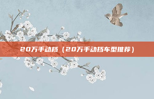 20万手动档（20万手动挡车型推荐）