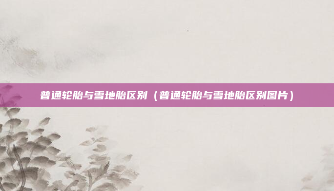 普通轮胎与雪地胎区别（普通轮胎与雪地胎区别图片）