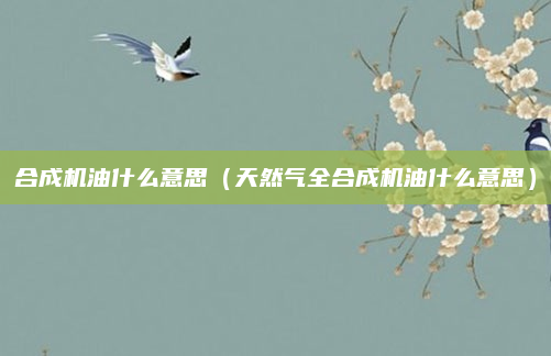 合成机油什么意思（天然气全合成机油什么意思）