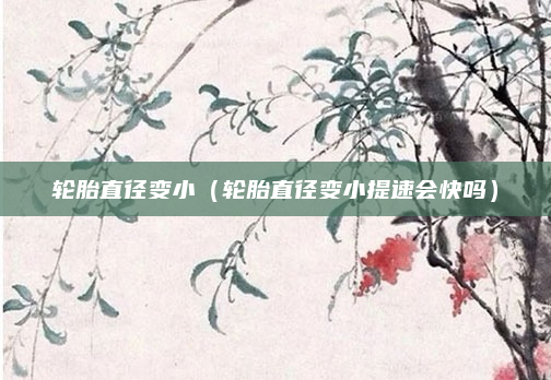 轮胎直径变小（轮胎直径变小提速会快吗）