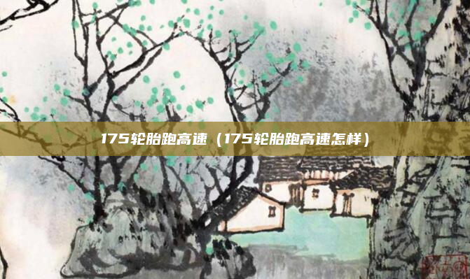 175轮胎跑高速（175轮胎跑高速怎样）