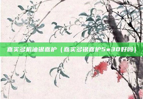 嘉实多机油银嘉护（嘉实多银嘉护5w30好吗）