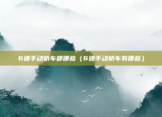 6速手动轿车都哪些（6速手动轿车有哪些）