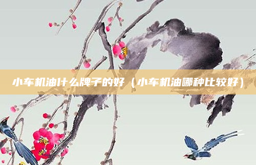 小车机油什么牌子的好（小车机油哪种比较好）