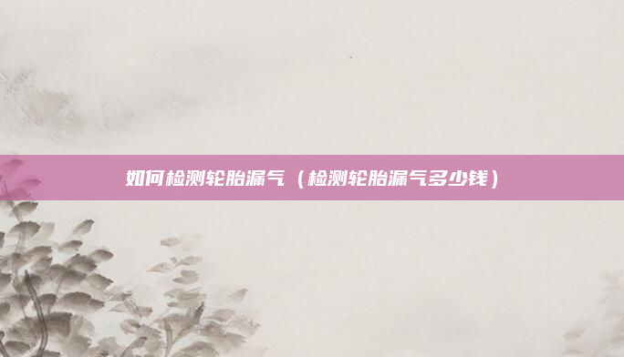 如何检测轮胎漏气（检测轮胎漏气多少钱）