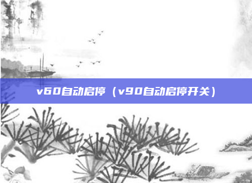 v60自动启停(v90自动启停开关)