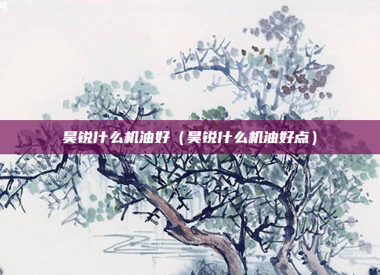 昊锐什么机油好(昊锐什么机油好点)
