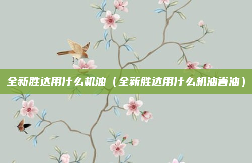 全新胜达用什么机油(全新胜达用什么机油省油)