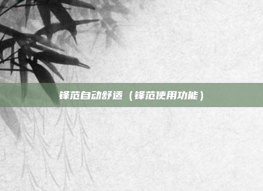 锋范自动舒适(锋范使用功能)