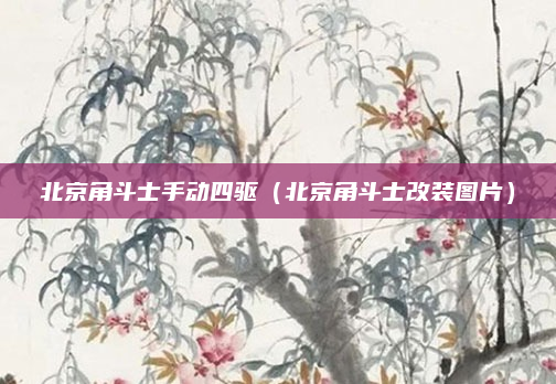 北京角斗士手动四驱（北京角斗士改装图片）
