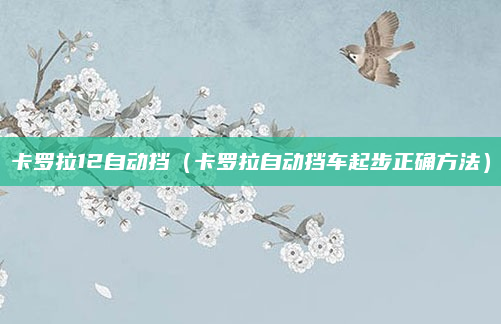 卡罗拉12自动挡（卡罗拉自动挡车起步正确方法）