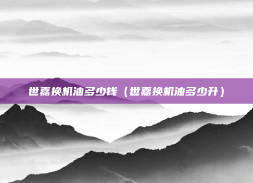 世嘉换机油多少钱(世嘉换机油多少升)
