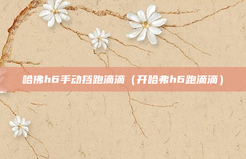 哈佛h6手动挡跑滴滴(开哈弗h6跑滴滴)
